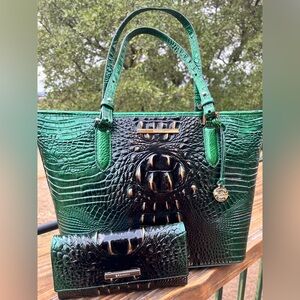 NWT SET Brahmin in EVERGREEN Med. Asher Ombre Melbourne Tote and Cordelia Wallet